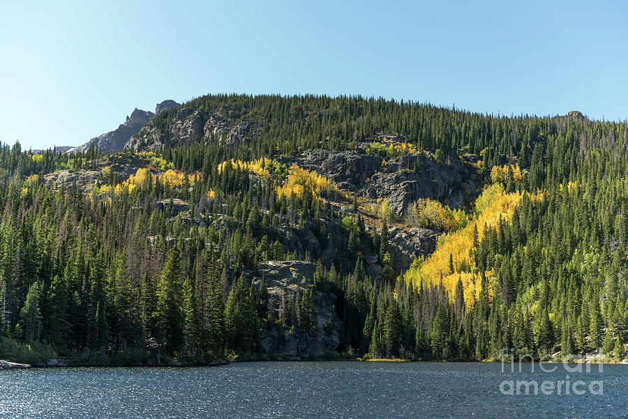 The Color of the Bear by Jon Burch Photography The Color of the Bear by Jon Burch Photography