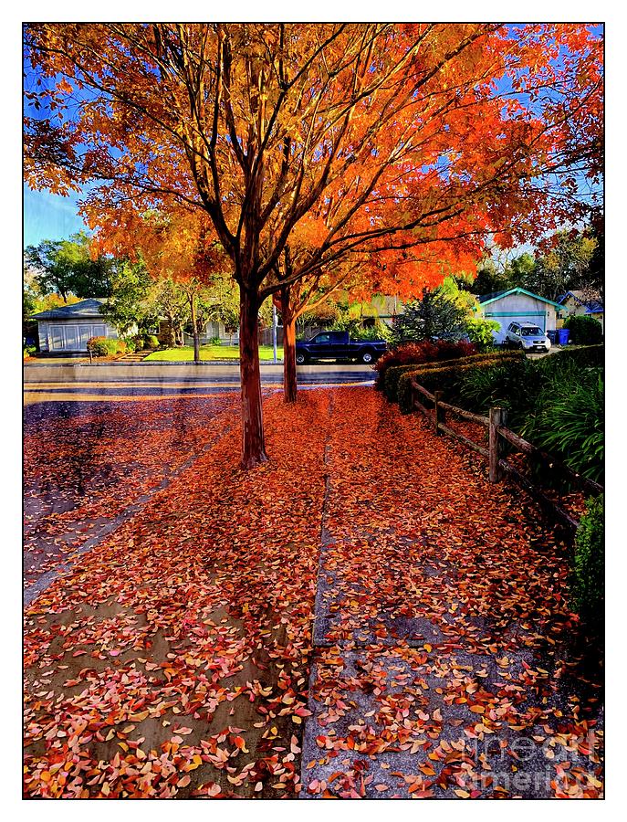 The Color of Things by Leslie Hunziker The Color of Things by Leslie Hunziker