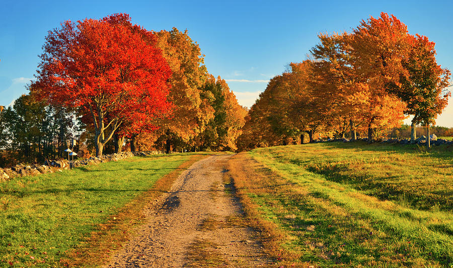 The Color Path Photograph by Chris Washburn - Fine Art America