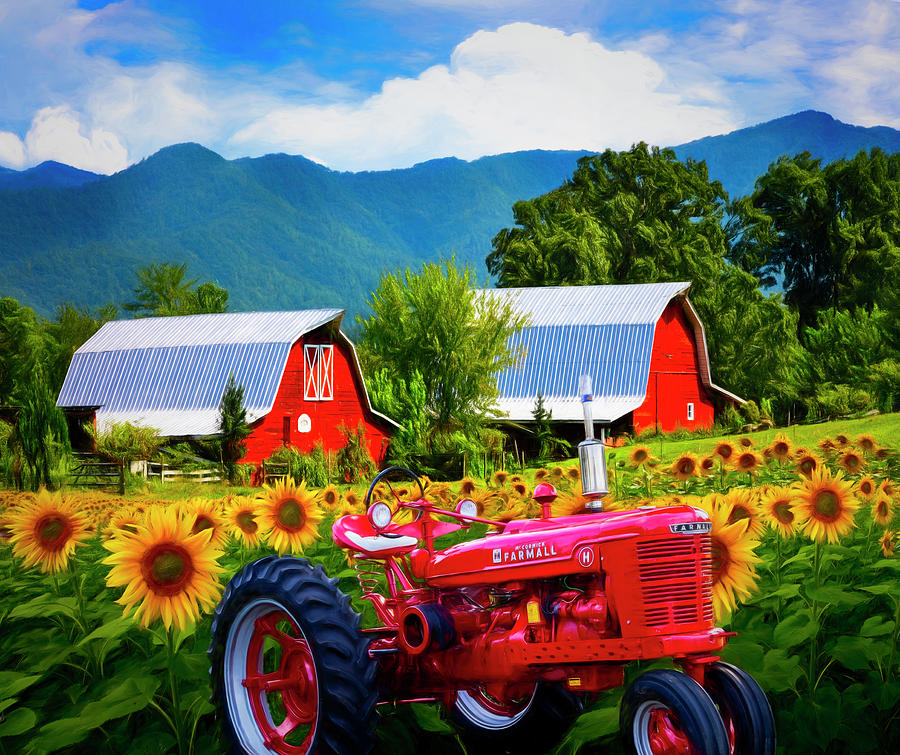 The Colors of Country Painting  Photograph by Debra and Dave Vanderlaan