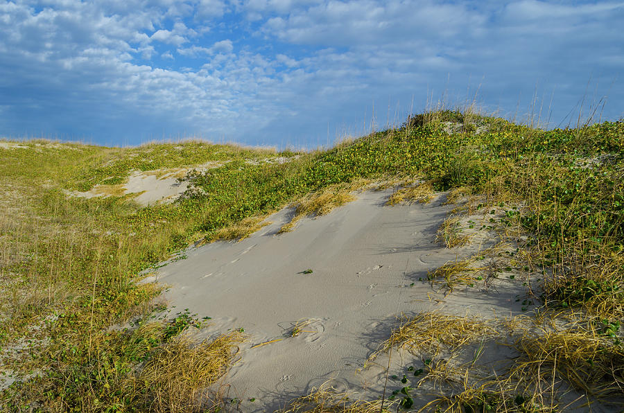 The Colors of False Cape Photograph by Mike O'Shell - Fine Art America