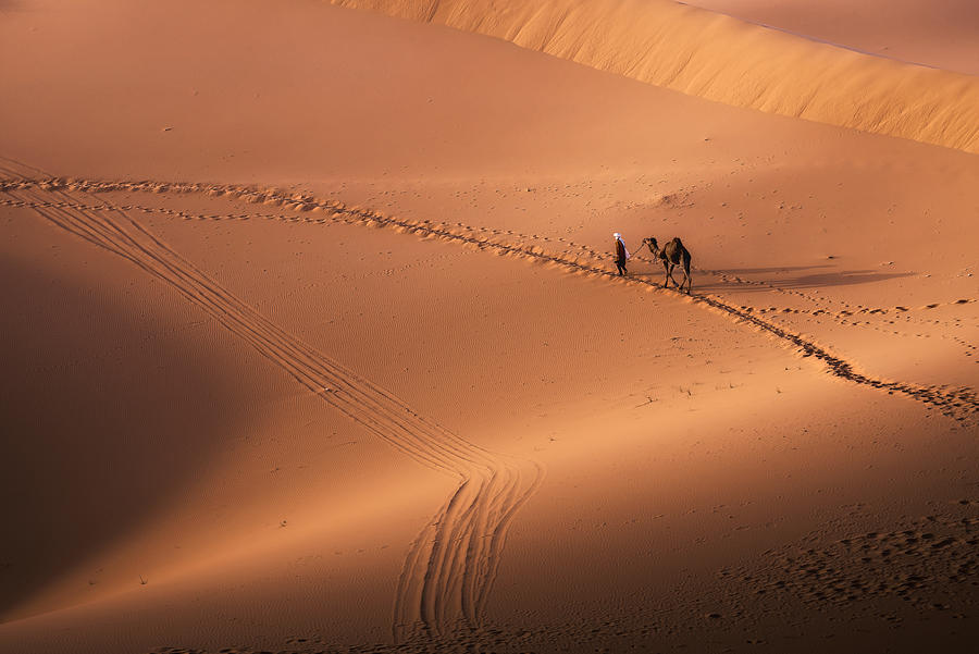 The Colors Of Sahara Photograph by Jeni Madjarova