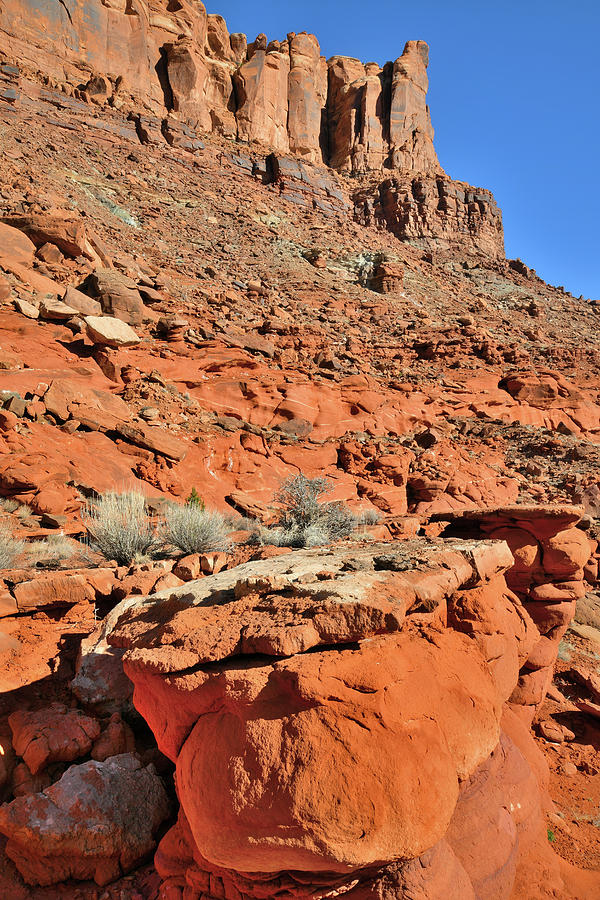 The Colors of Utahs Red Rock Photograph by Ray Mathis