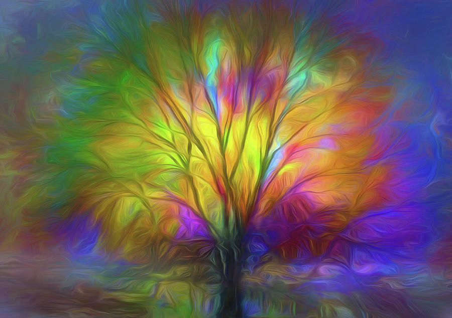 The Colours of our Dreams by Tara Turner The Colours of our Dreams by Tara Turner