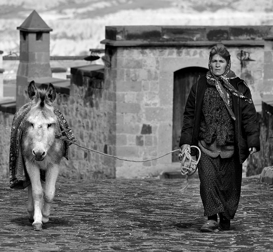 Turkey Photograph - The Companion by Catalin Parau
