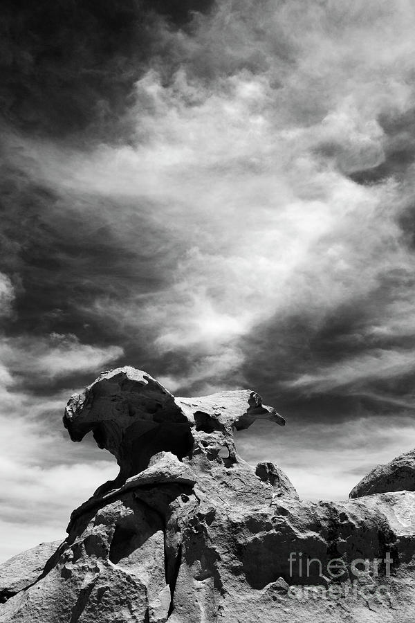 The Condor Rock Sculpture in Monochrome Bolivia Photograph by James Brunker