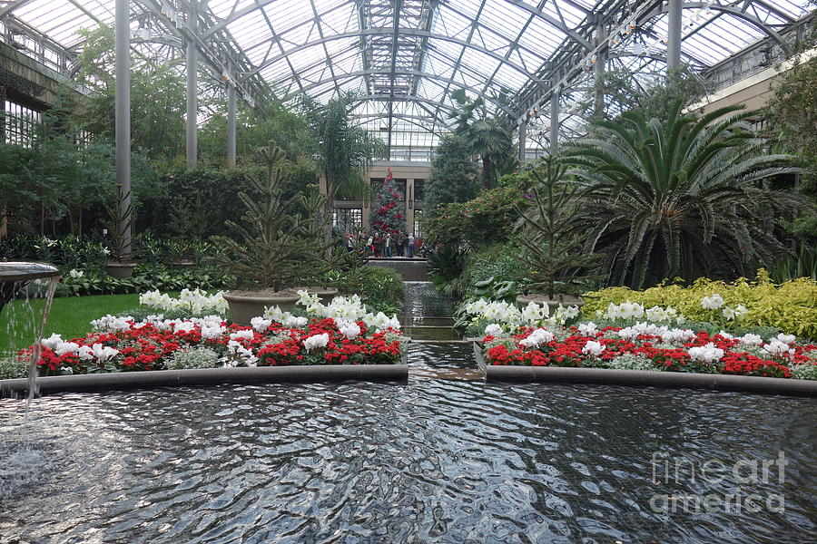 The Conservatory at Christmastime   Photograph by Susan Carella
