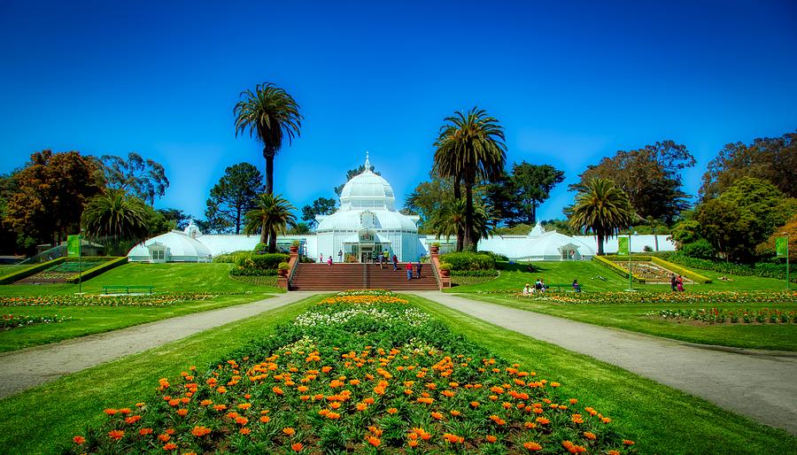 The Conservatory Of Flowers Photograph by Mountain Dreams