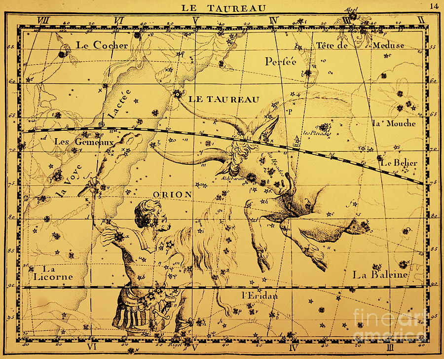The Constellations Orion And Taurus Painting by European School
