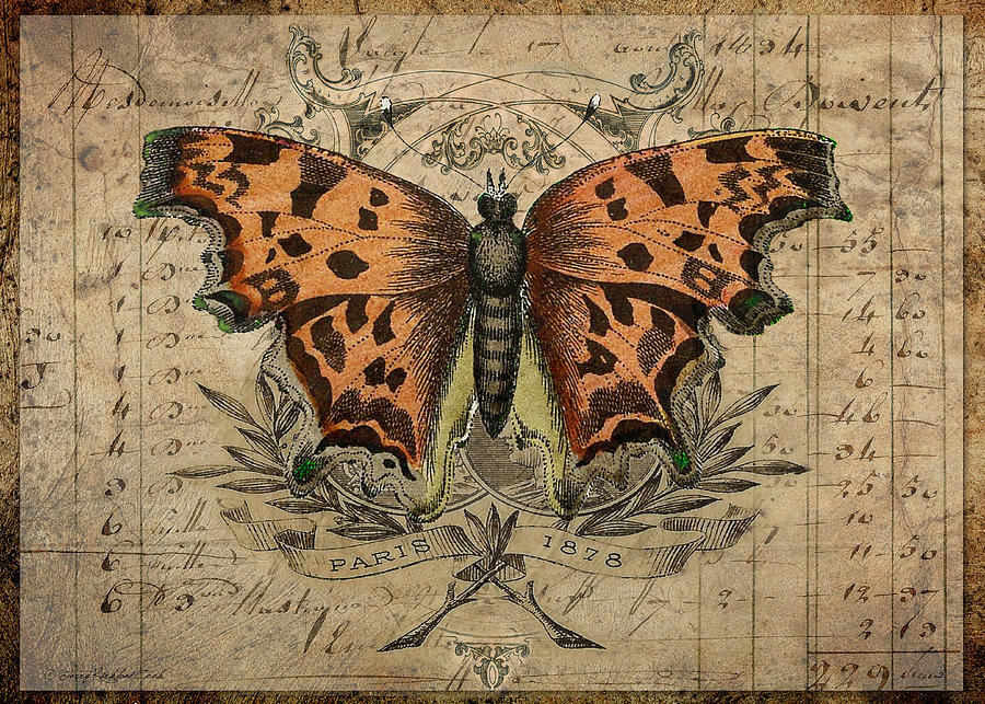 The Copper Butterfly Digital Art by Terry Kirkland Cook