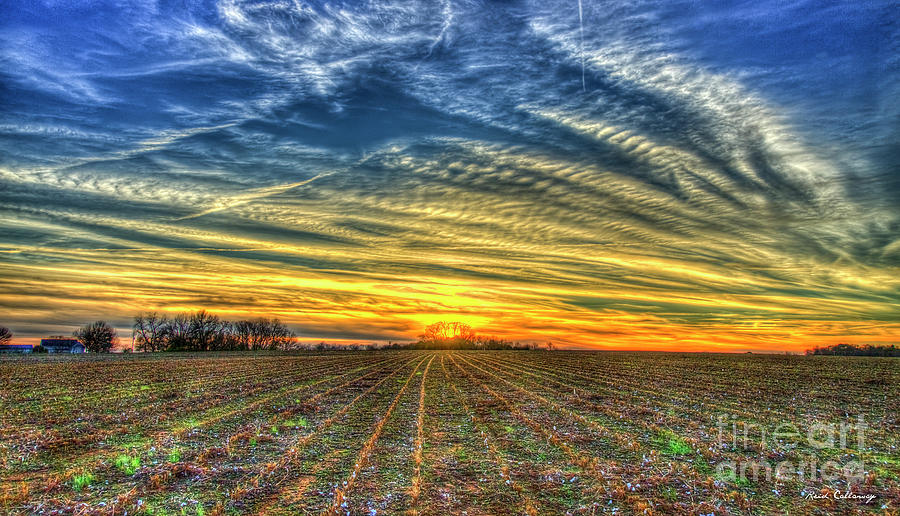 The Cotton Field Sunset Oconee County Georgia Landscape Farming Art Photograph by Reid Callaway