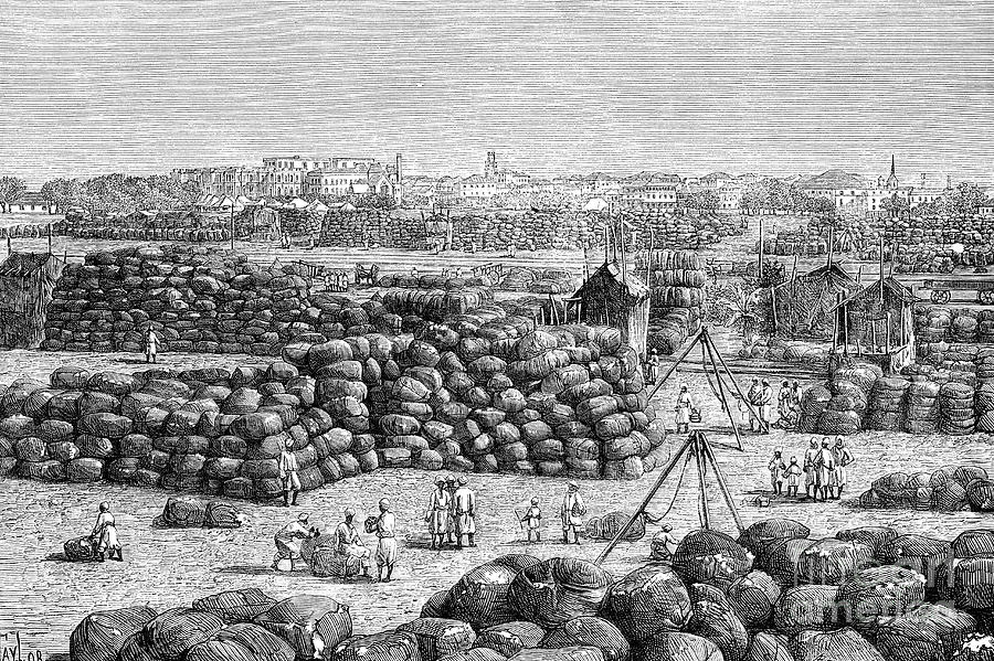 The Cotton Market At Bombay, India Drawing by Print Collector