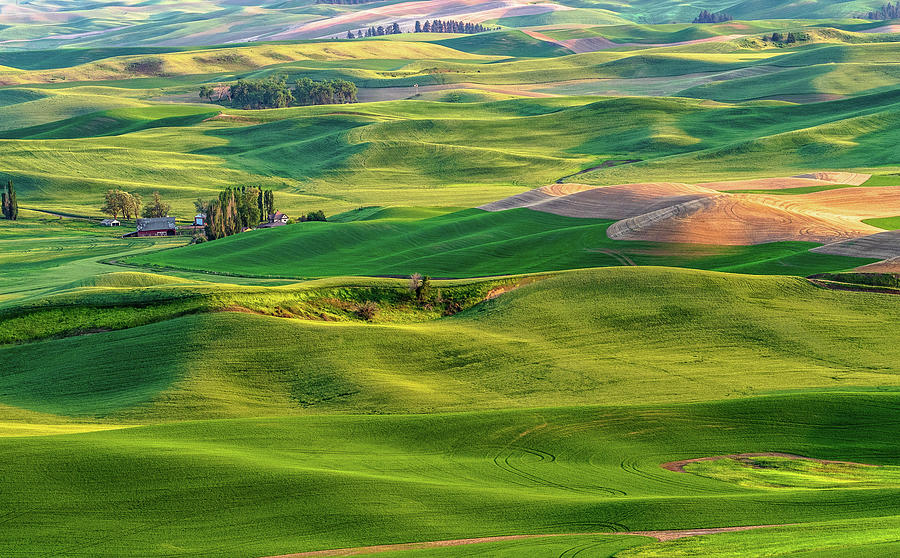 The Country Club.... Photograph by David Choate - Pixels