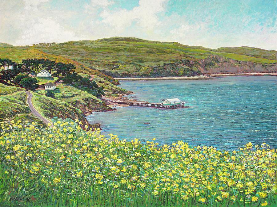 The Cove At Drakes Bay Painting by Tom Pittard