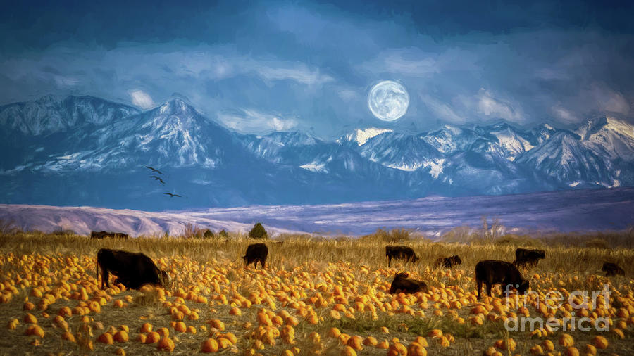 The Cow Flew Over The Moon Photograph by Janice Pariza