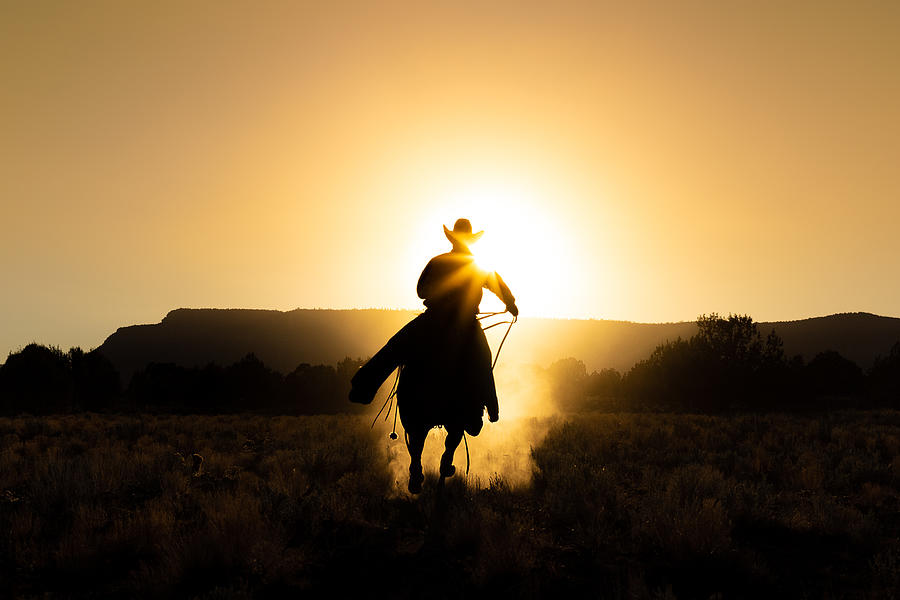Action Photograph - The Cowboy by Matt Jacob