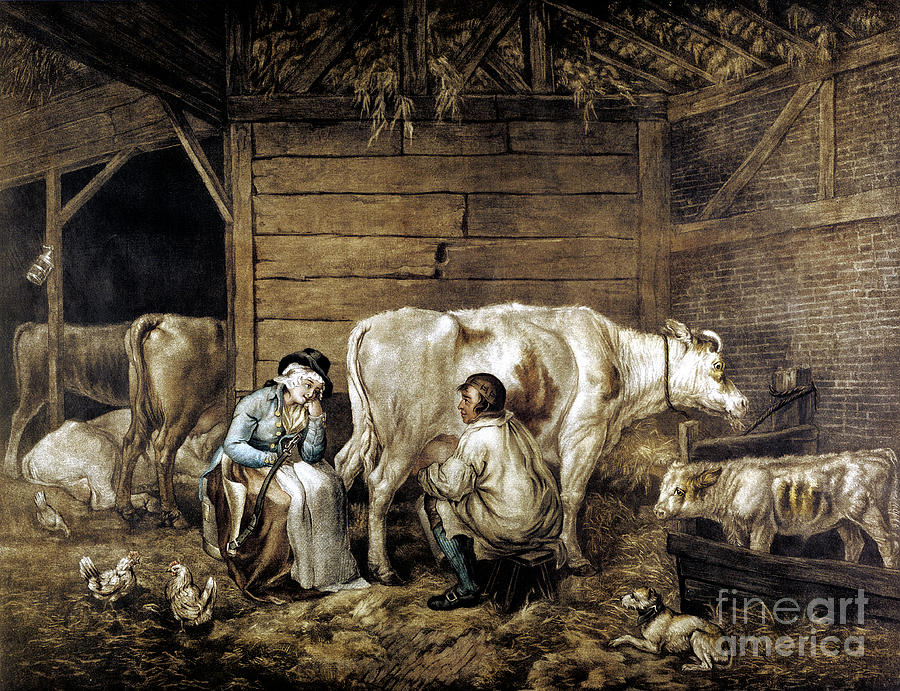 The Cowshed Drawing by Print Collector