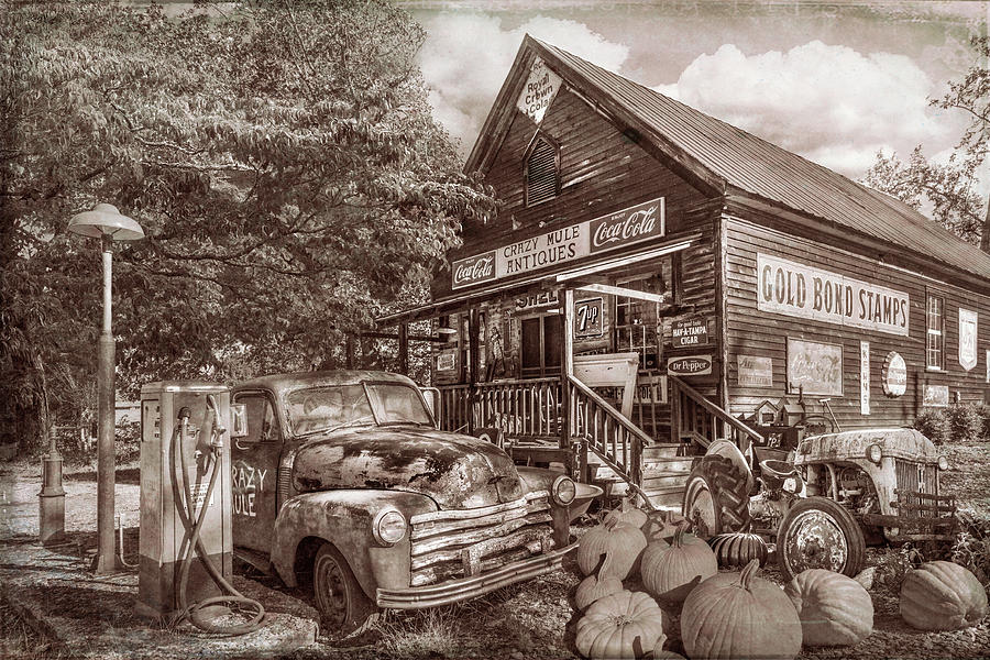 The Crazy Mule Antiques in Sepia Photograph by Debra and Dave Vanderlaan