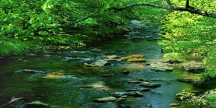 The Creek at Cataloochee Photograph by Phil Jensen
