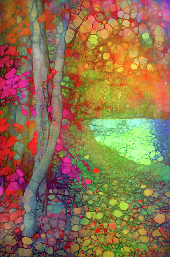 The Creek Waits Patiently For Autumns Joyful Return Digital Art by Tara Turner