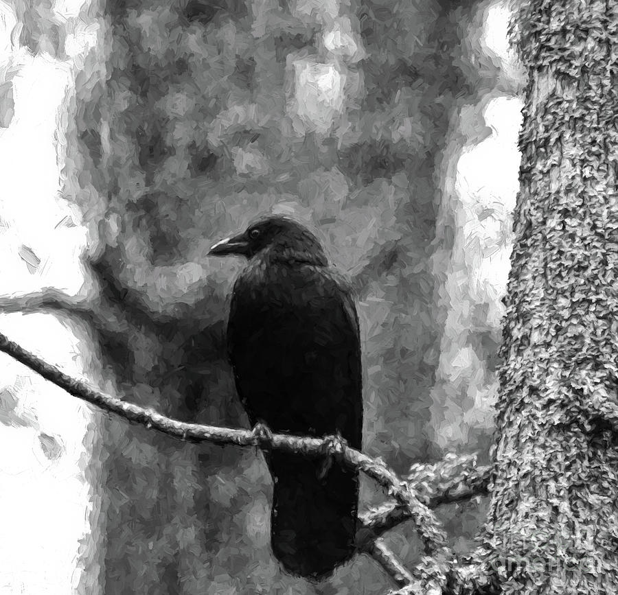 The Crow Photograph