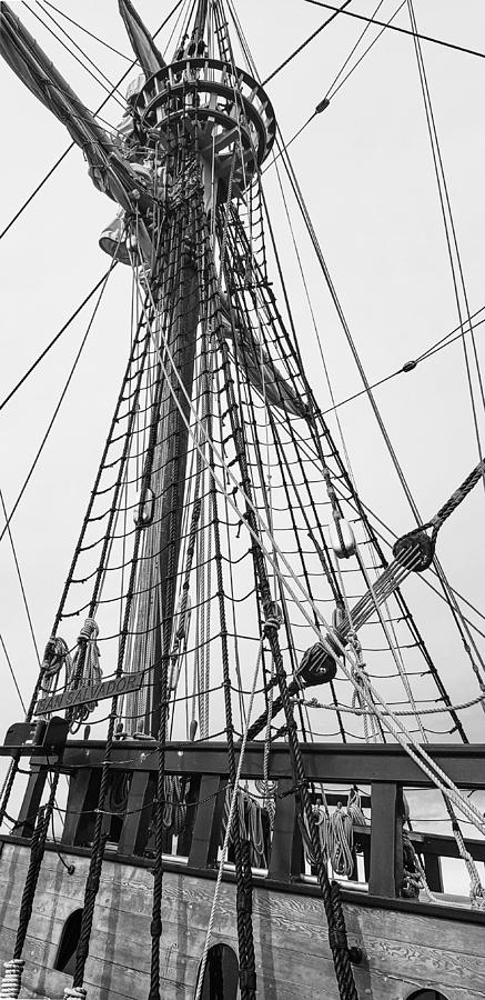 The Crows Nest Photograph by Bonny Puckett