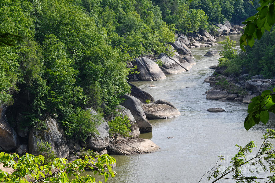 The Cumberland River Photograph by Phil Perkins
