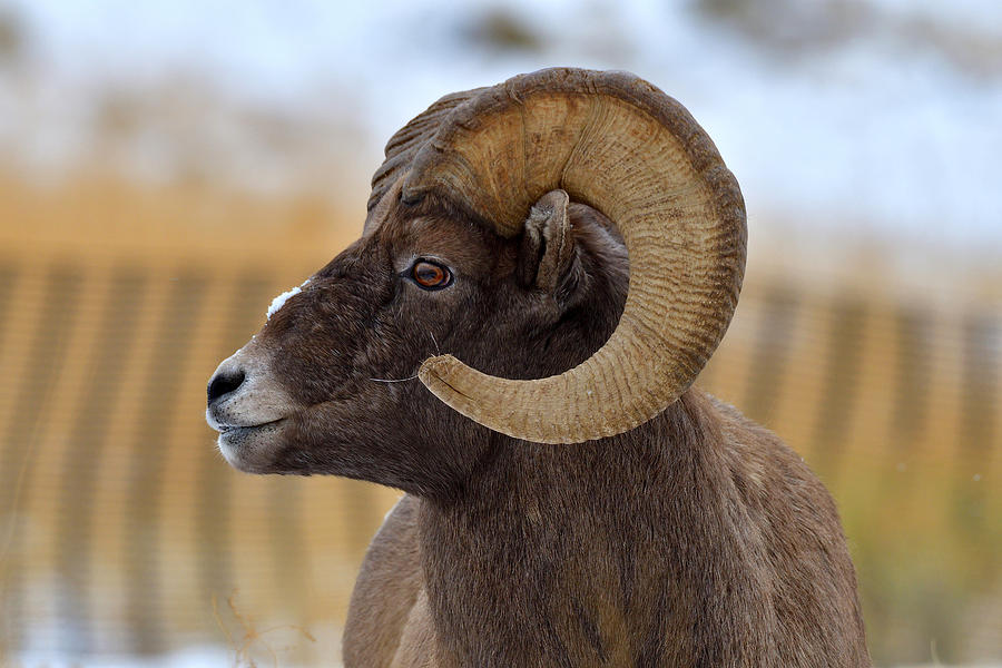 The Curl Photograph by Michael Morse - Fine Art America