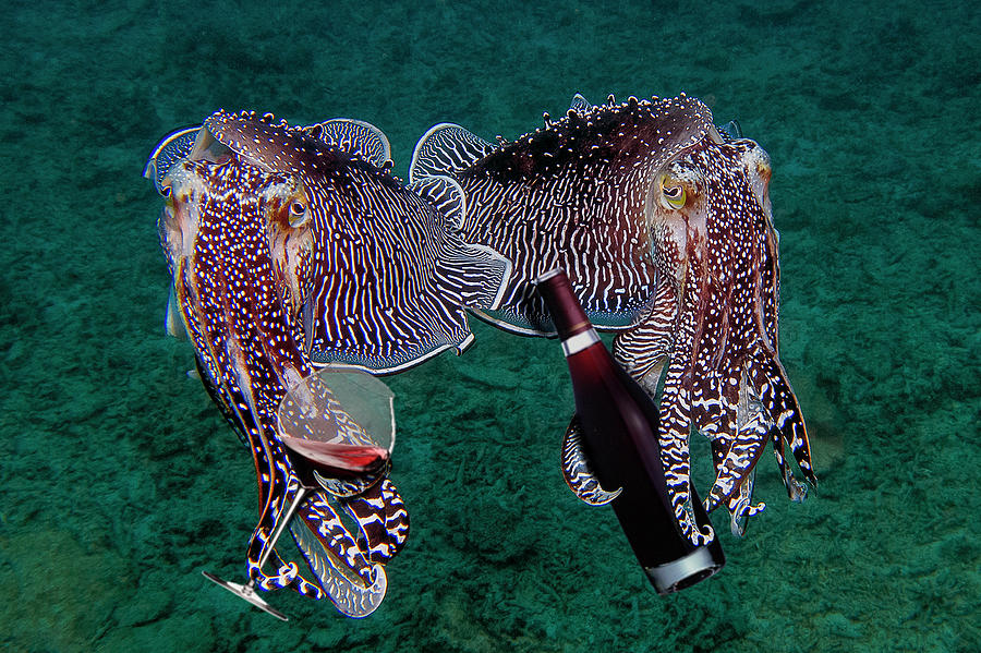 The Cuttlefish Are Here To Serve You. Digital Art by Gary Hughes