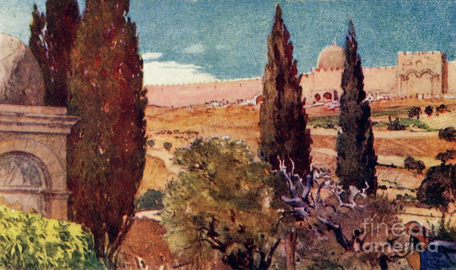 The Cypresses Of The Garden Drawing by Print Collector