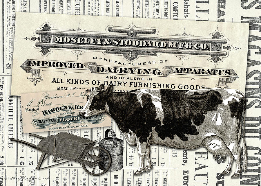 The Dairy Cow Digital Art by Terry Kirkland Cook