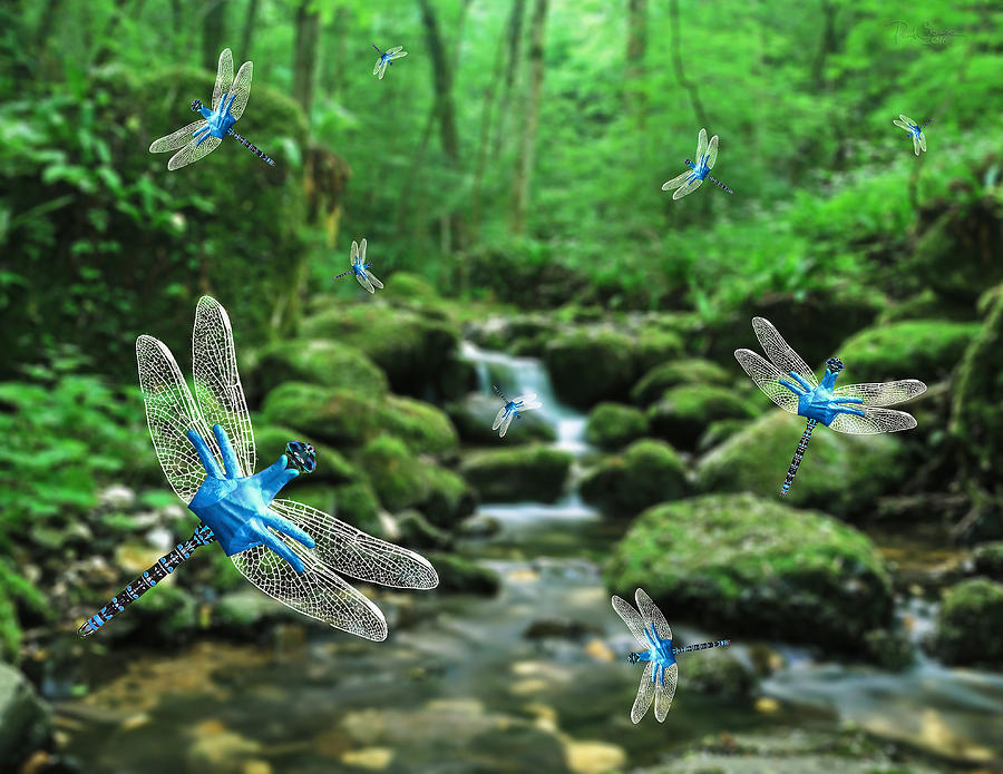 The Dance of Dragonflies Digital Art by Paul Scearce