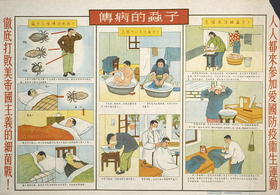 The Dangers of Lice & Trench Fever Painting by Chinese Communist Government