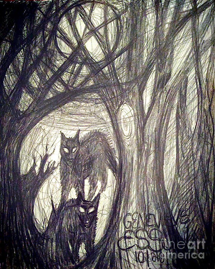 The Dark Forest Drawing by Genevieve Esson