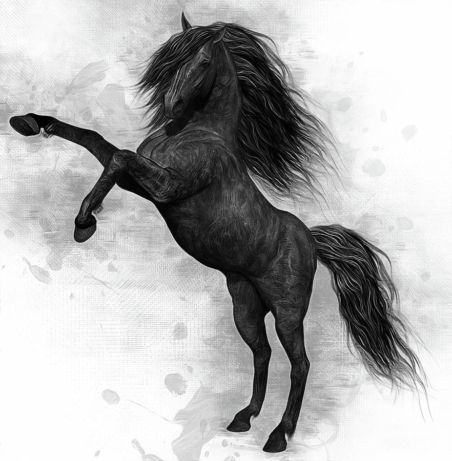 The Dark Horse Digital Art by Ian Mitchell