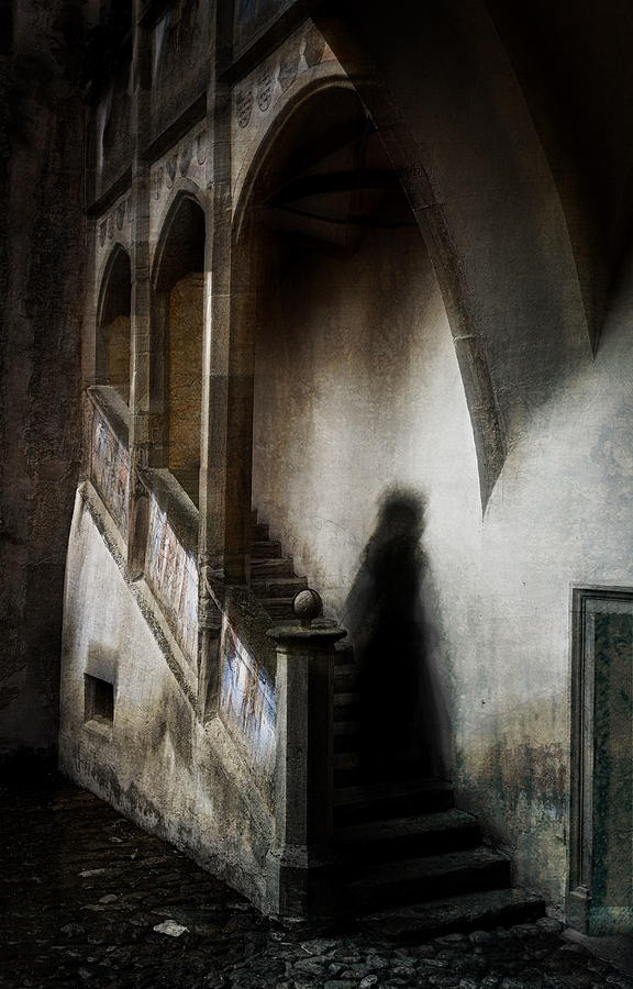 The Dark Lady Photograph by Raffaele Corte