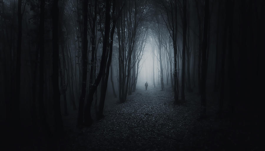 Fantasy Photograph - The Dark Path by Photocosma