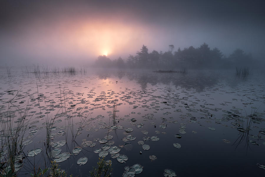 The Day Wakes Up Photograph by Benny Pettersson