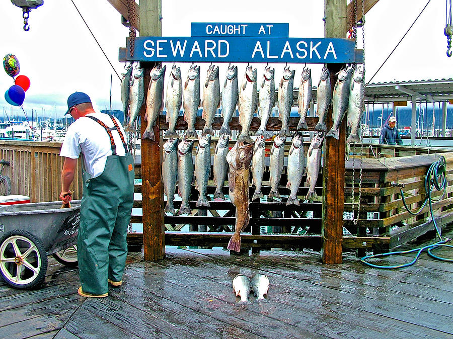 The Days Catch at Marina in Seward, Alaska  Photograph by Ruth Hager