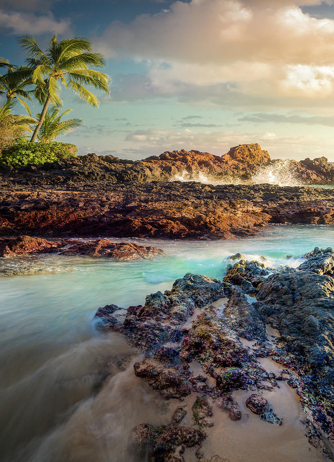 The Day's Final Act / Maui, Hawaii by Nicholas Parker The Day's Final Act / Maui, Hawaii by Nicholas Parker
