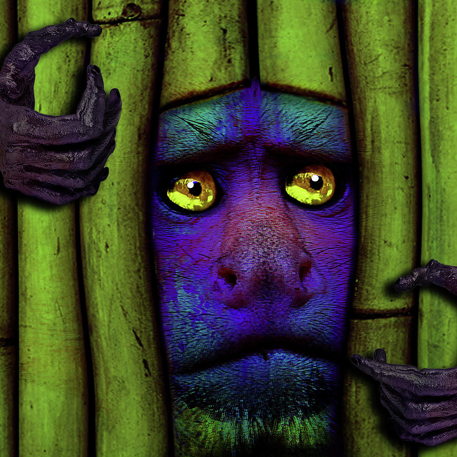 Monkeys Mixed Media - The Days In Between by Dana Brett Munach Monkeys Mixed Media - The Days In Between by Dana Brett Munach