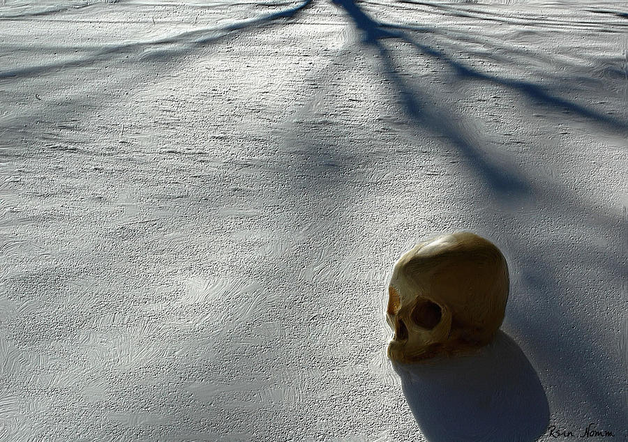 The Dead of Winter Digital Art by Rein Nomm
