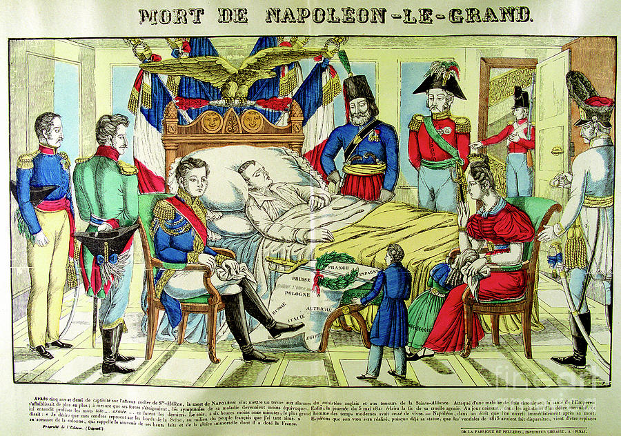 Napoleon Bonaparte 1769-1821, French by Print Collector