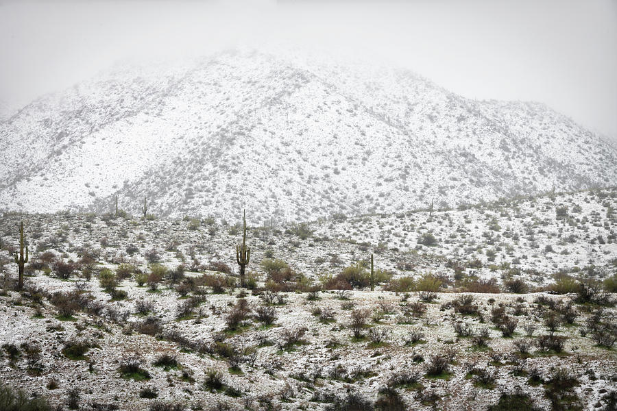 The Desert Dressed In White  Photograph by Saija Lehtonen