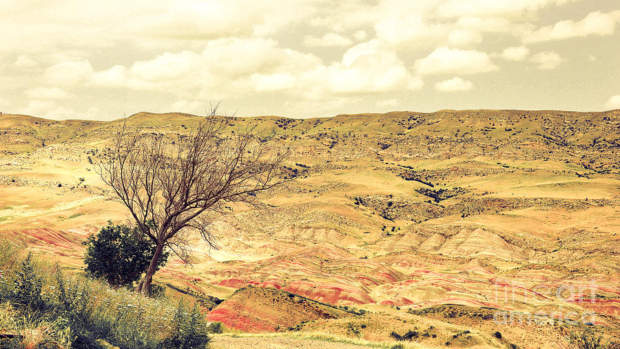 The desert mountains of Transcaucasia  Photograph by Yavor Mihaylov