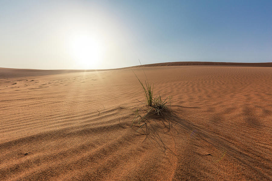 The Desert To Dubai, Uae Photograph by Manuel Bischof