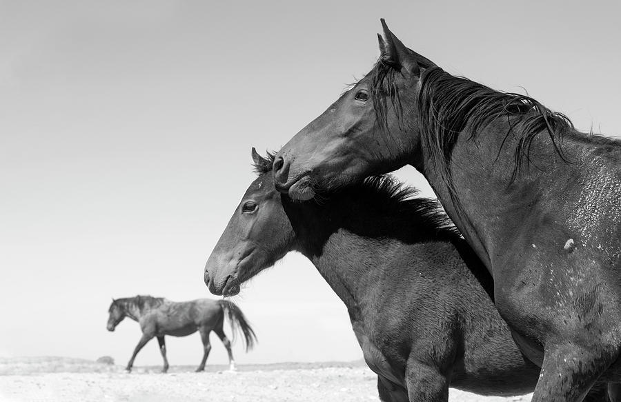 The Desolate Desert. by Paul Martin The Desolate Desert. by Paul Martin