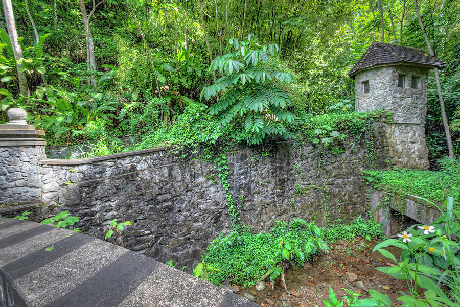 The Dillon Castle Estate, Tobago Photograph by Nadia Sanowar