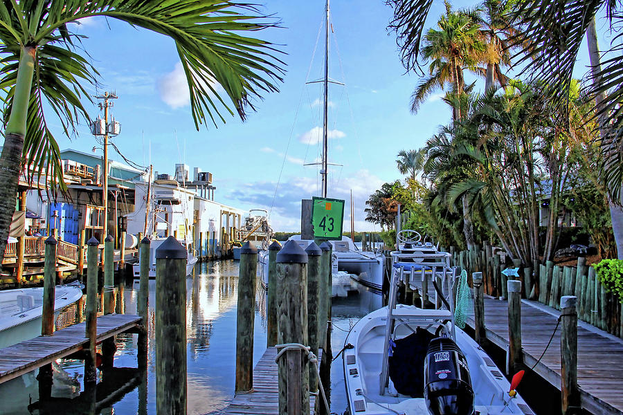 The Docks Of Cortez Photograph by HH Photography of Florida