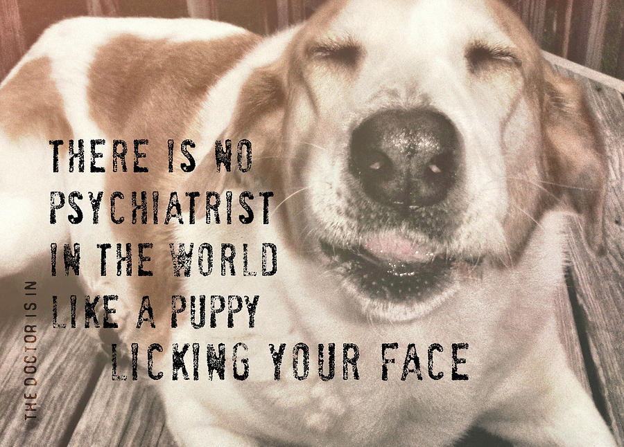 Dog Photograph - THE DOCTOR IS IN quote by JAMART Photography